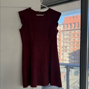 AB Studio Burgundy Fit & Flare Mini Dress